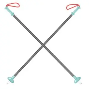 Adult Classic Poles